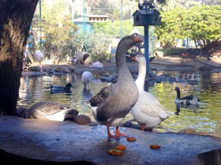 %d9%82%d9%82%d9%82%d9%8217