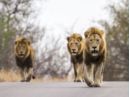 %d8%ad%d8%ad%d8%ad%d8%ad%d8%ad%d8%ad%d8%ad%d8%ad%d8%ad%d8%ad%d8%ad%d8%ad%d8%ad%d8%ad%d8%ad%d8%ad%d8%ad10