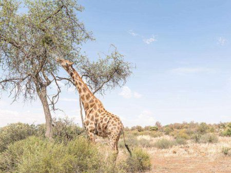 %d8%ad%d8%ad%d8%ad%d8%ad%d8%ad%d8%ad%d8%ad%d8%ad10