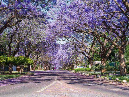 %d8%ad%d8%ad%d8%ad%d8%ad%d8%ad10