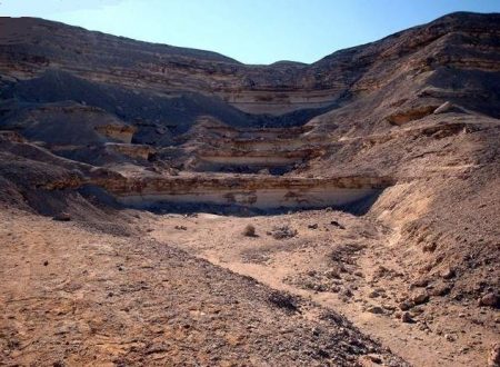 %d9%85%d9%85%d9%8518