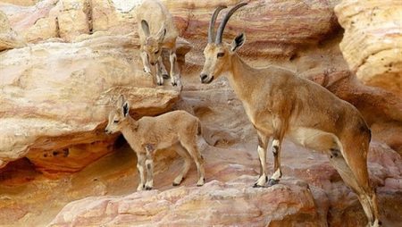 %d9%85%d9%85%d9%85%d9%85%d9%85%d9%8518