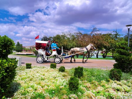 %d8%aa%d8%aa%d8%aa%d8%aa%d8%aa%d8%aa7