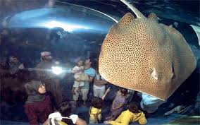 %d8%ab%d8%ab%d8%ab%d8%ab9