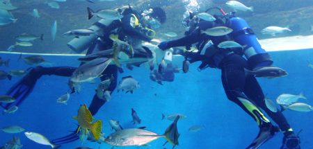 %d8%ab%d8%ab%d8%ab%d8%ab%d8%ab%d8%ab%d8%ab%d8%ab%d8%ab%d8%ab%d8%ab%d8%ab%d8%ab%d8%ab%d8%ab%d8%ab%d8%ab%d8%ab%d8%ab9