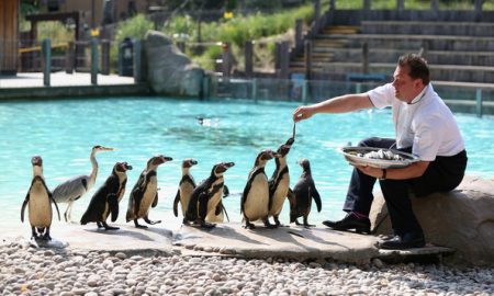 %d8%ae%d8%ae%d8%ae%d8%ae