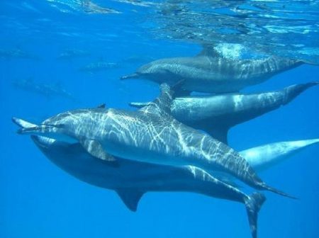 %d8%ba%d8%ba%d8%ba%d8%ba%d8%ba14