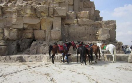 %d9%83%d9%83%d9%83%d9%83%d9%83%d9%83%d9%8317