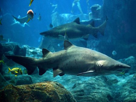 %d8%ba%d8%ba%d8%ba%d8%ba%d8%ba%d8%ba%d8%ba%d8%ba%d8%ba%d8%ba%d8%ba%d8%ba%d8%ba17