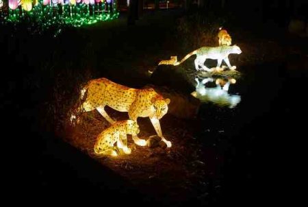 %d9%81%d9%81%d9%81%d9%81%d9%8117