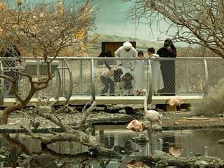 %d9%83%d9%83%d9%83%d9%8319