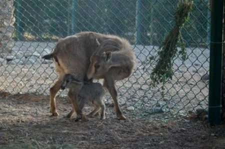 %d9%83%d9%83%d9%83%d9%83%d9%8319