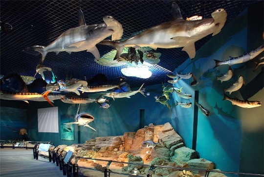 %d9%83%d9%83%d9%83%d9%83%d9%83%d9%83%d9%83%d9%83%d9%8319