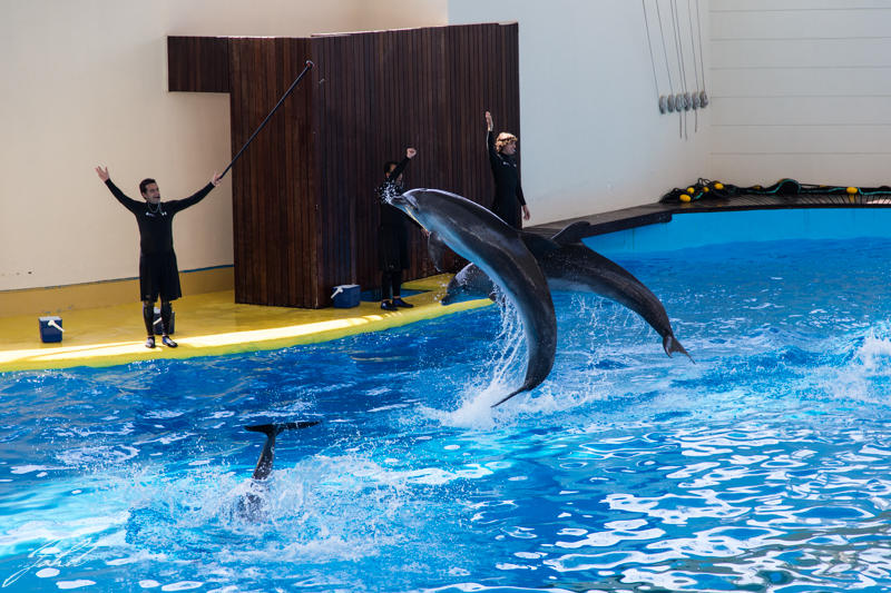 %d8%b9%d8%b9%d8%b914