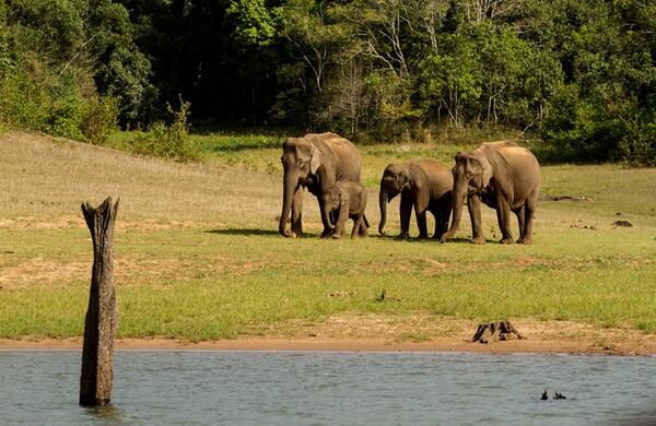 %d9%81%d9%81%d9%8116