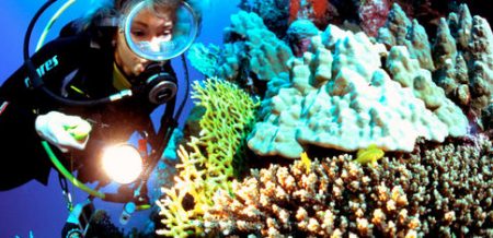 %d9%89%d9%89%d9%8921