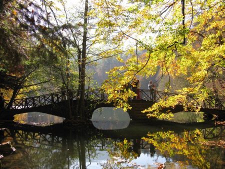 %d8%ad%d8%ad%d8%ad11