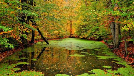 %d8%ad%d8%ad%d8%ad%d8%ad%d8%ad11