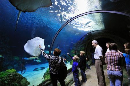 %d9%85%d9%85%d9%85%d9%85%d9%8520