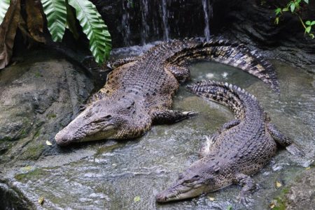 %d9%86%d9%86%d9%86%d9%86%d9%8619