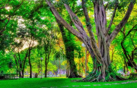 %d8%a6%d8%a6%d8%a621