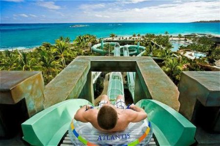 %d8%b9%d8%b9%d8%b915