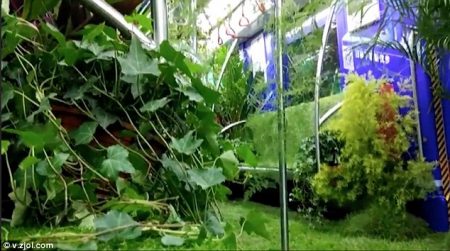 %d9%83%d9%83%d9%83%d9%83%d9%83%d9%8316