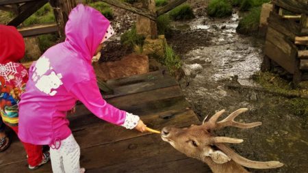 %d9%84%d9%84%d9%84%d9%84%d9%8417