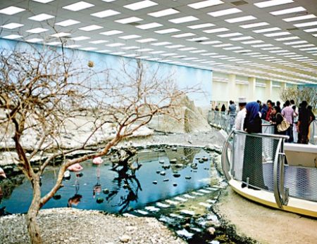 %d8%aa%d8%aa%d8%aa%d8%aa%d8%aa%d8%aa%d8%aa%d8%aa%d8%aa7