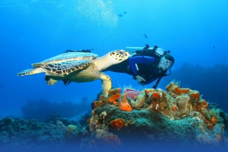 %d8%ab%d8%ab%d8%ab%d8%ab%d8%ab%d8%ab%d8%ab8