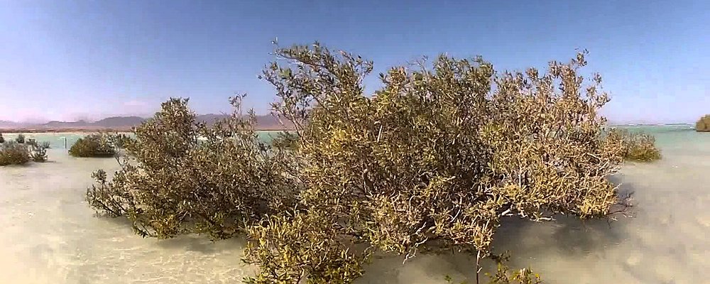 %d8%ad%d8%ad%d8%ad12