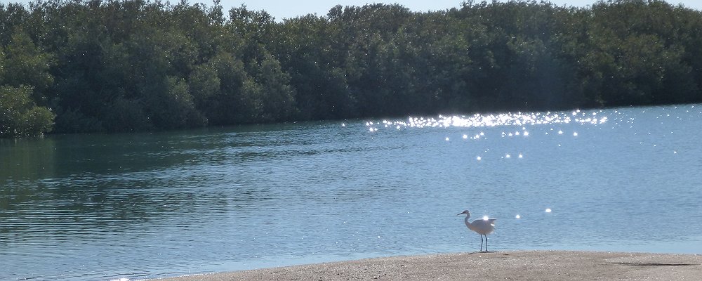 %d8%ad%d8%ad%d8%ad%d8%ad%d8%ad12