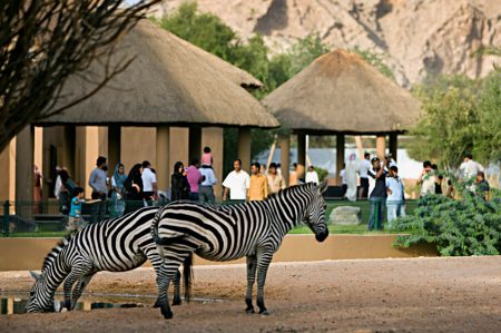 %d8%af%d8%af%d8%af%d8%af%d8%af14