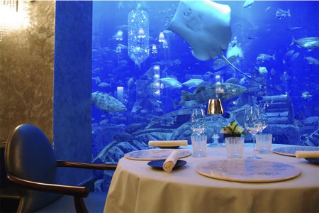 %d8%a8%d8%a8%d8%a8%d8%a8%d8%a8%d8%a88