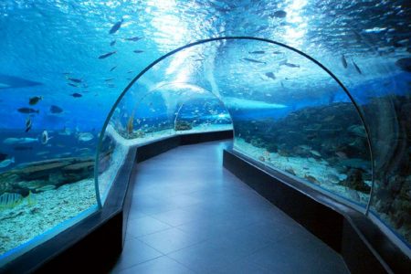 %d8%aa%d8%aa%d8%aa%d8%aa%d8%aa%d8%aa%d8%aa%d8%aa%d8%aa%d8%aa%d8%aa10