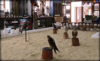 %d8%ad%d8%ad%d8%ad14