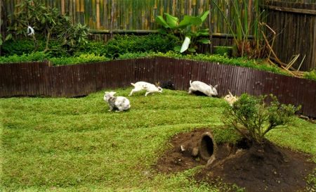 %d9%88%d9%88%d9%88%d9%88%d9%88%d9%88%d9%88%d9%88%d9%88%d9%8820