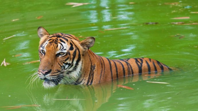 %d8%ac%d8%ac%d8%ac%d8%ac%d8%ac%d8%ac%d8%ac%d8%ac%d8%ac10