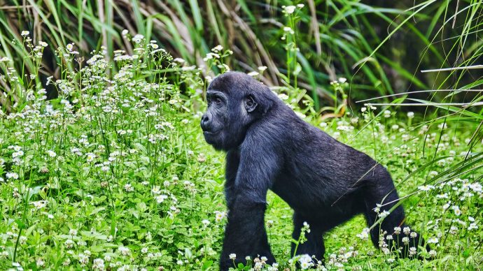 %d8%ac%d8%ac%d8%ac%d8%ac%d8%ac%d8%ac%d8%ac%d8%ac%d8%ac%d8%ac%d8%ac%d8%ac%d8%ac%d8%ac%d8%ac%d8%ac%d8%ac%d8%ac10