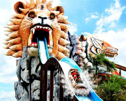 %d8%b9%d8%b9%d8%b9%d8%b9%d8%b9%d8%b9%d8%b9%d8%b9%d8%b9%d8%b915