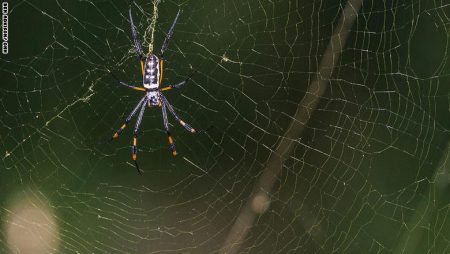 %d8%b9%d8%b9%d8%b9%d8%b9%d8%b913