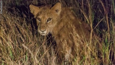 %d8%b9%d8%b9%d8%b9%d8%b9%d8%b9%d8%b9%d8%b9%d8%b9%d8%b9%d8%b9%d8%b913