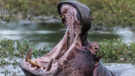 %d8%b9%d8%b9%d8%b9%d8%b9%d8%b9%d8%b9%d8%b9%d8%b9%d8%b9%d8%b9%d8%b9%d8%b9%d8%b9%d8%b913