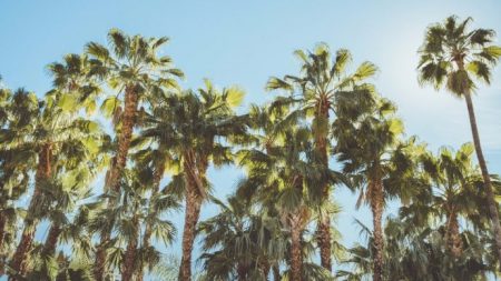 %d8%ae%d8%ae%d8%ae%d8%ae12