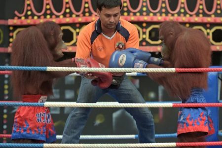 %d9%88%d9%88%d9%88%d9%88%d9%8820