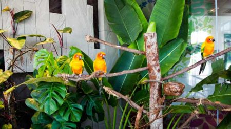 %d8%ab%d8%ab%d8%ab%d8%ab%d8%ab%d8%ab%d8%ab%d8%ab9