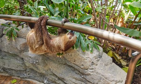 %d8%ab%d8%ab%d8%ab%d8%ab%d8%ab%d8%ab%d8%ab%d8%ab%d8%ab%d8%ab%d8%ab%d8%ab%d8%ab%d8%ab9