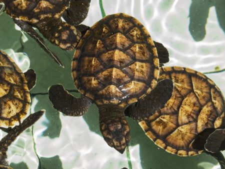 %d8%ab%d8%ab%d8%ab%d8%ab%d8%ab%d8%ab%d8%ab%d8%ab%d8%ab%d8%ab%d8%ab%d8%ab%d8%ab%d8%ab%d8%ab%d8%ab%d8%ab%d8%ab%d8%ab%d8%ab%d8%ab%d8%ab%d8%ab%d8%ab%d8%ab%d8%ab7