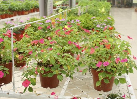 %d9%82%d9%82%d9%82%d9%82%d9%82%d9%82%d9%82%d9%82%d9%82%d9%82%d9%82%d9%82%d9%82%d9%82%d9%82%d9%82%d9%82%d9%82%d9%8219