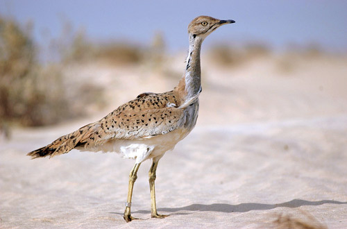 %d9%81%d9%81%d9%81%d9%81%d9%81%d9%8115